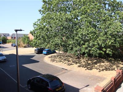 Picture 11